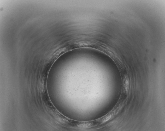 X0000061760422200512091706