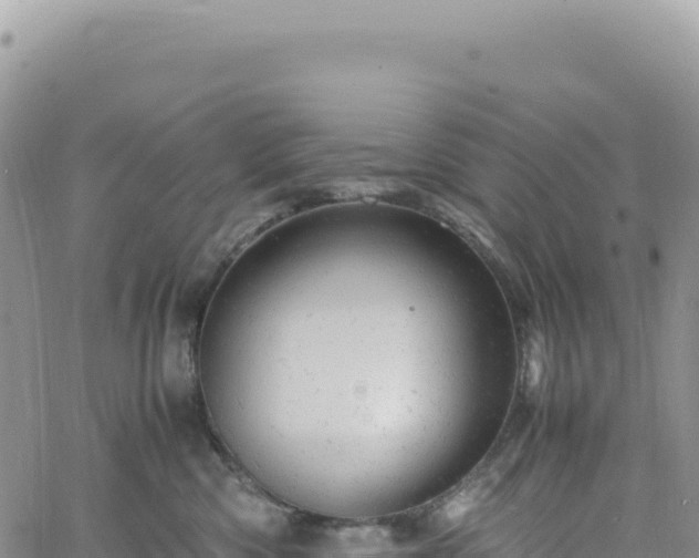 X0000061760426200512091706