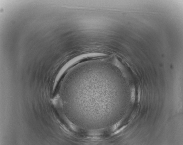 X0000061760428200512091706