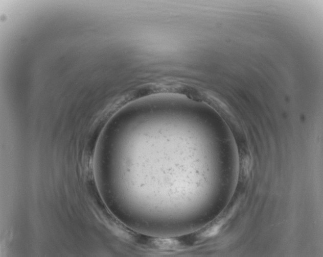 X0000061760429200512091706