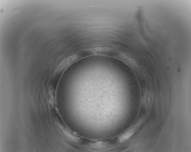 X0000061760430200512091706