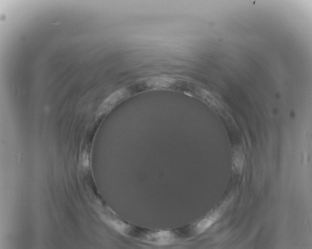 X0000061760431200512091706