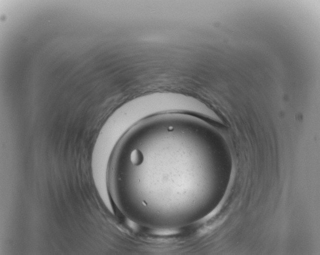 X0000061760432200512091706