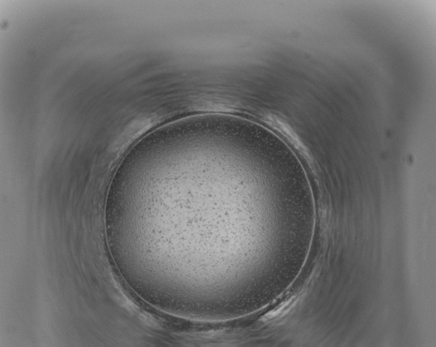 X0000061760433200512091705