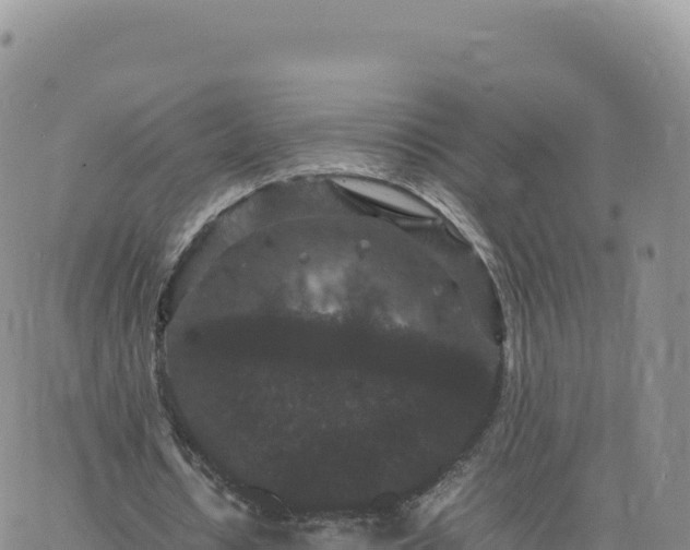 X0000061760434200512091705