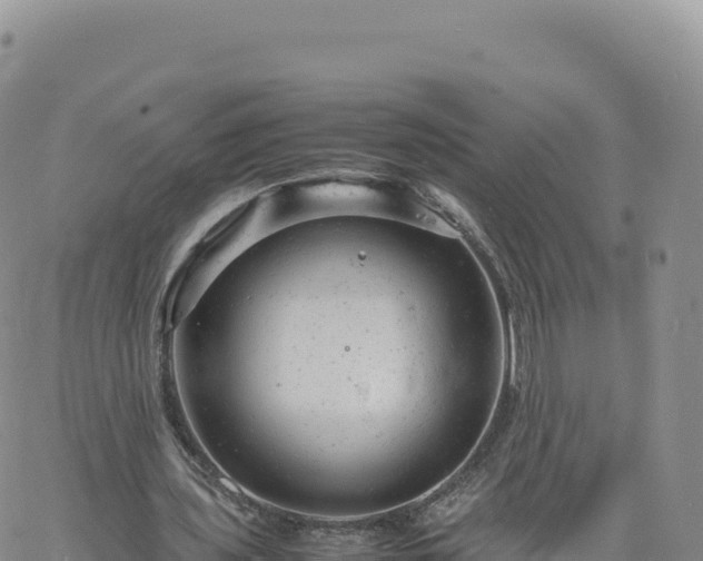 X0000061760435200512091705