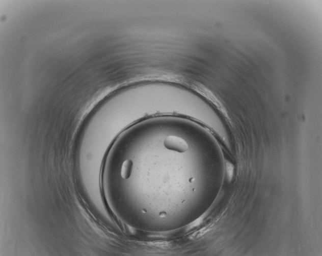 X0000061760436200512091705