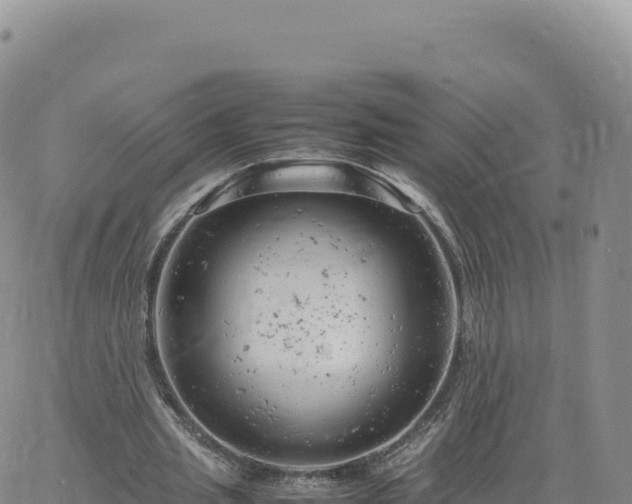 X0000061760437200512091705