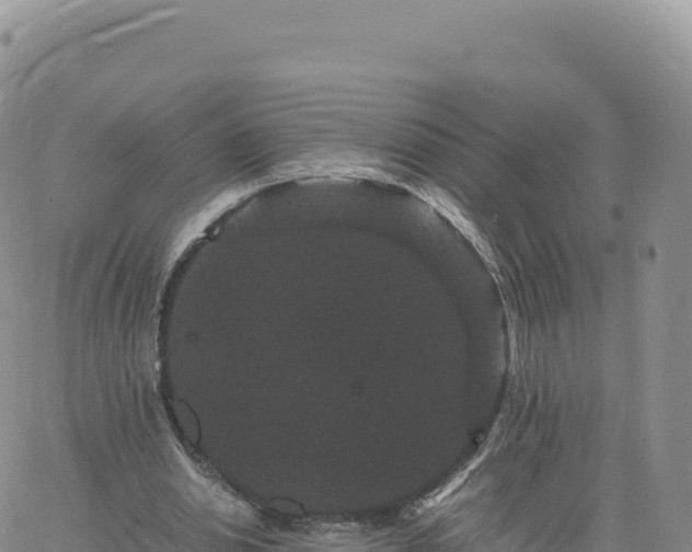 X0000061760438200512091705