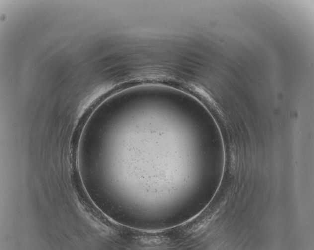 X0000061760439200512091705