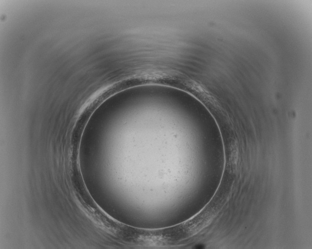 X0000061760440200512091705