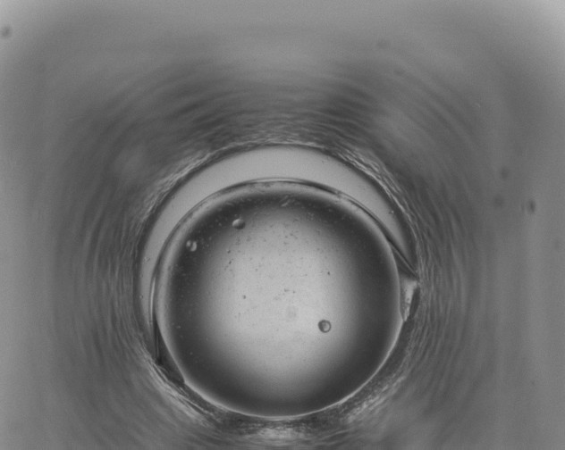 X0000061760441200512091705