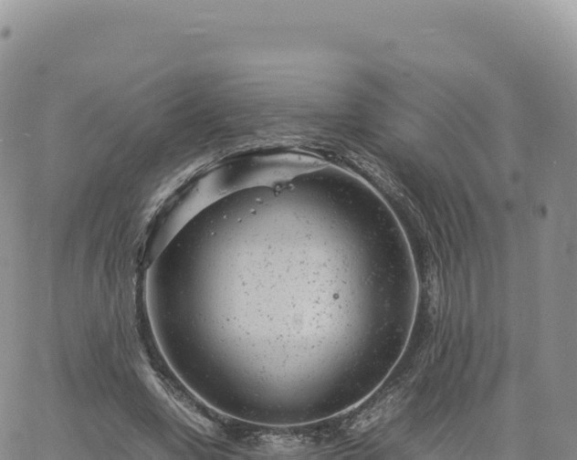 X0000061760442200512091705