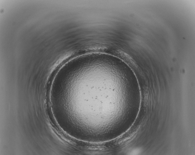 X0000061760443200512091705