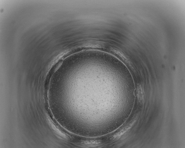 X0000061760445200512091705