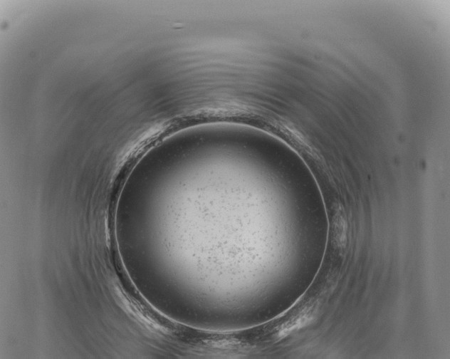 X0000061760446200512091705