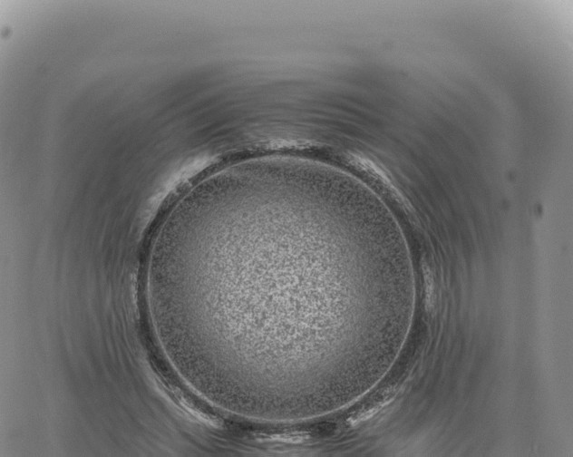 X0000061760447200512091705