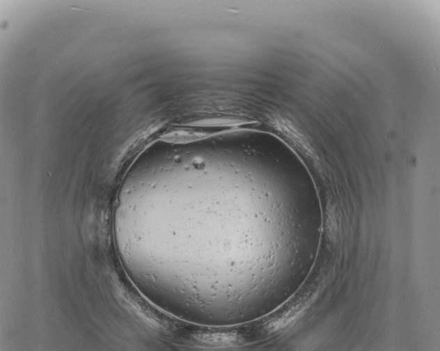 X0000061760449200512091705