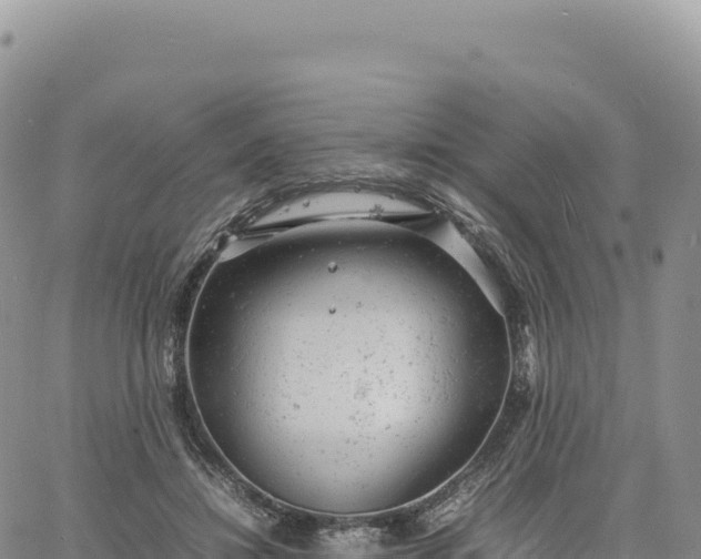 X0000061760452200512091705