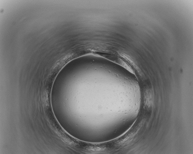 X0000061760453200512091705