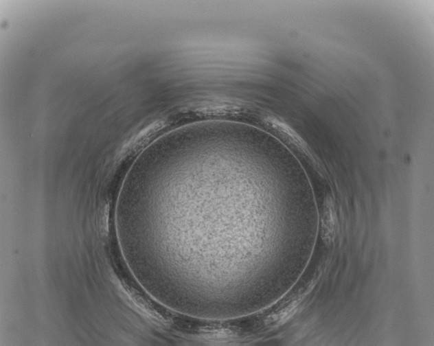 X0000061760454200512091705