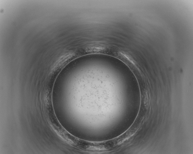 X0000061760455200512091705