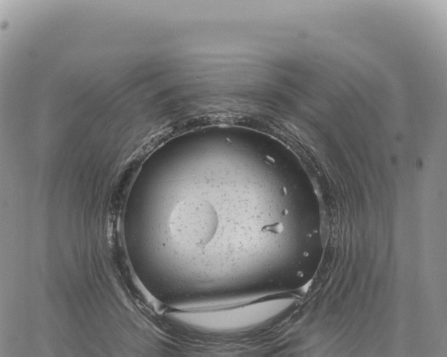 X0000061760456200512091705