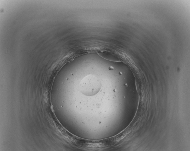 X0000061760457200512091705