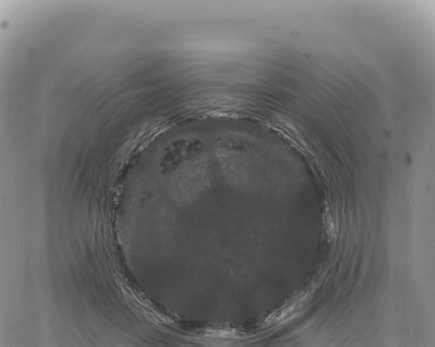 X0000061760458200512091705