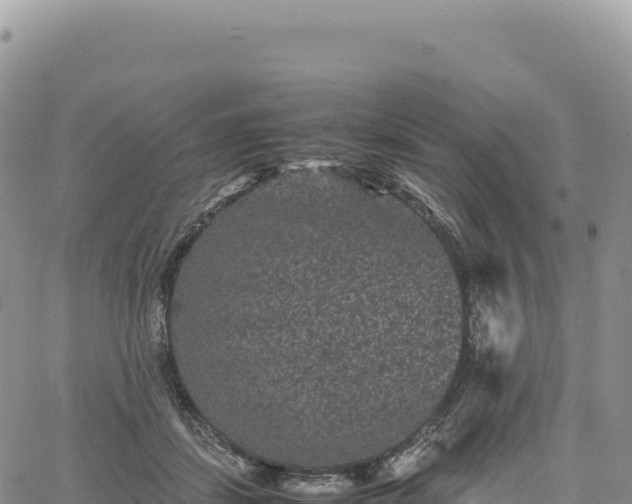 X0000061760459200512091705