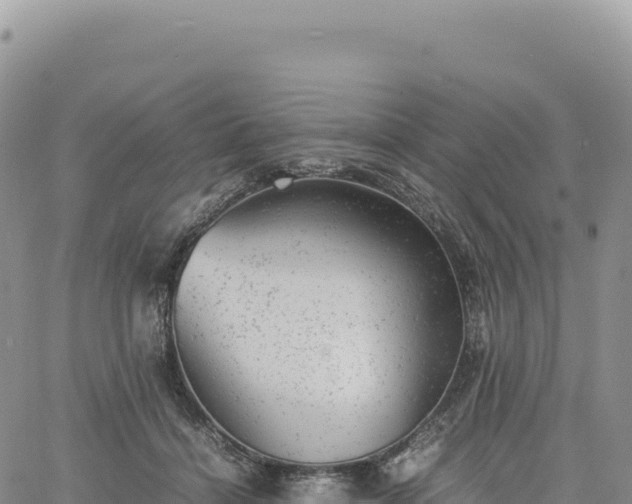 X0000061760460200512091705