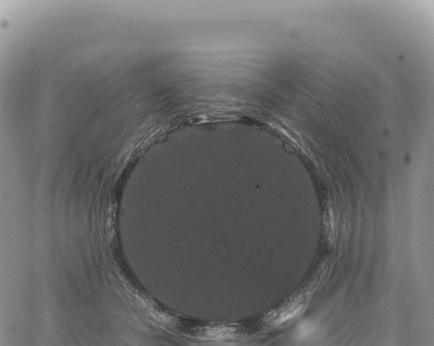 X0000061760462200512091705