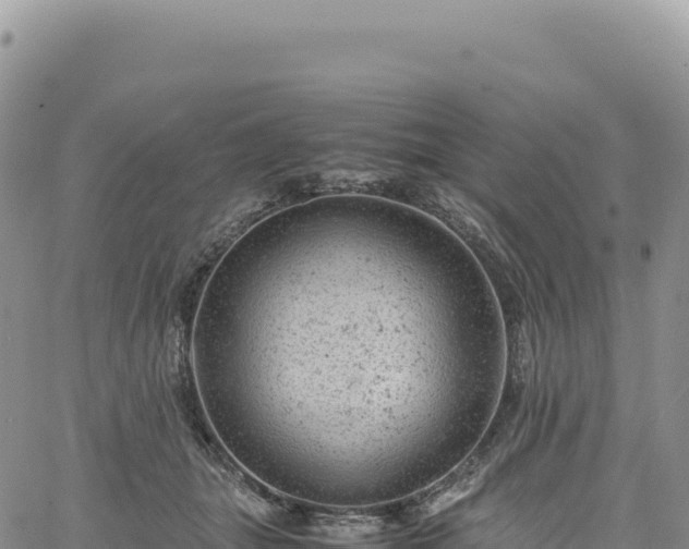 X0000061760463200512091705