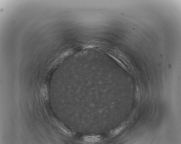 X0000061760465200512091705