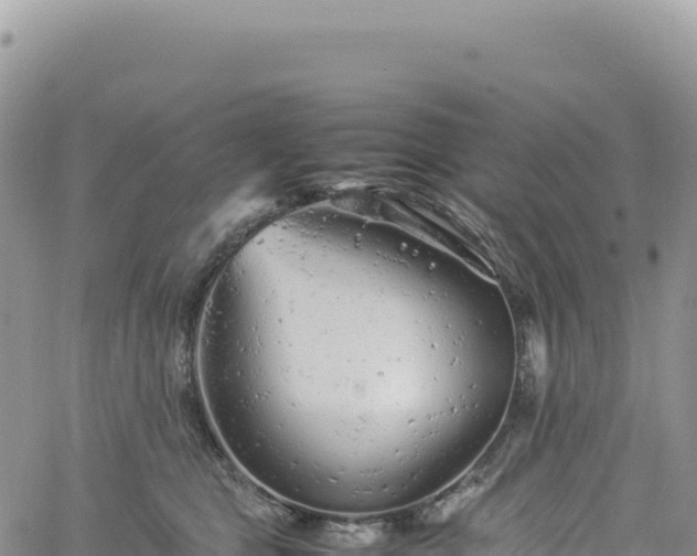 X0000061760469200512091705