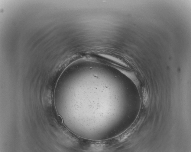 X0000061760470200512091705