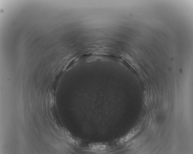 X0000061760471200512091705