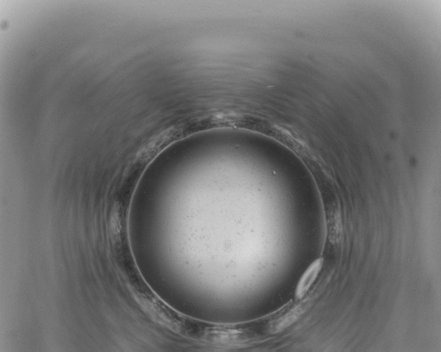 X0000061760472200512091705