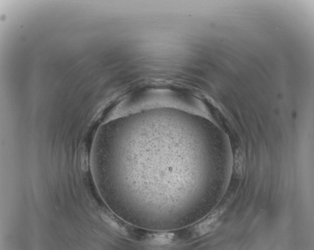 X0000061760474200512091706