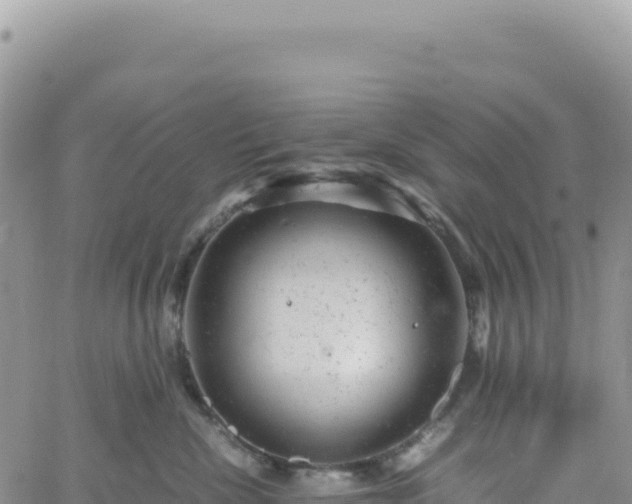 X0000061760476200512091706