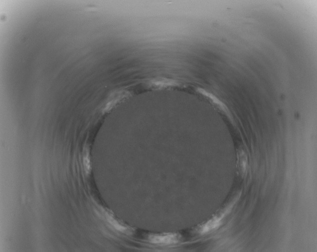 X0000061760479200512091706