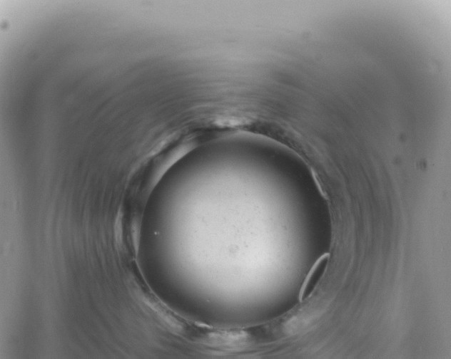 X0000061760480200512091706