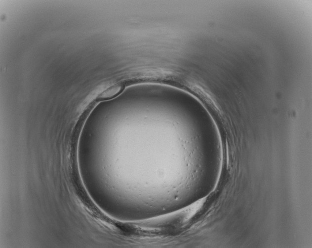 X0000061760483200512091705