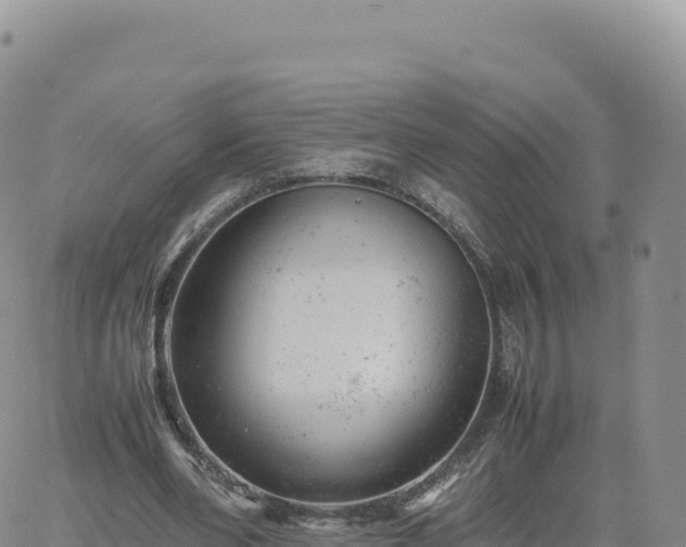 X0000061760486200512091705