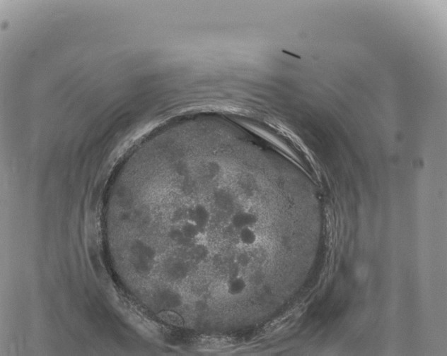 X0000061760487200512091705