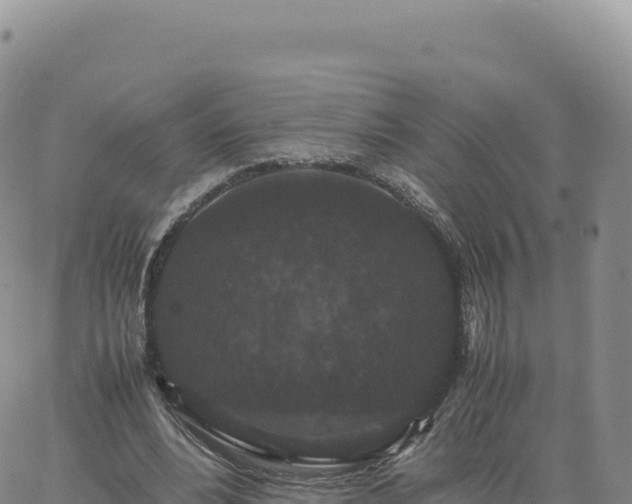 X0000061760488200512091705