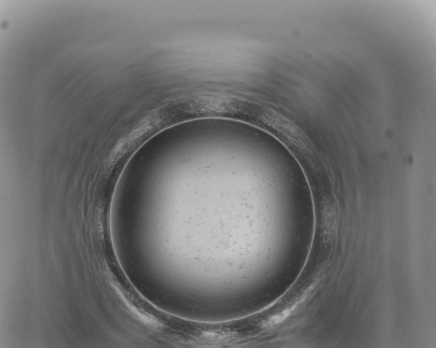 X0000061760489200512091705