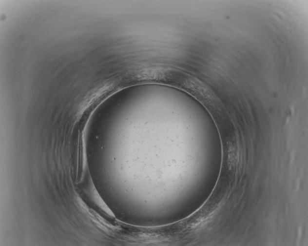 X0000061760490200512091705