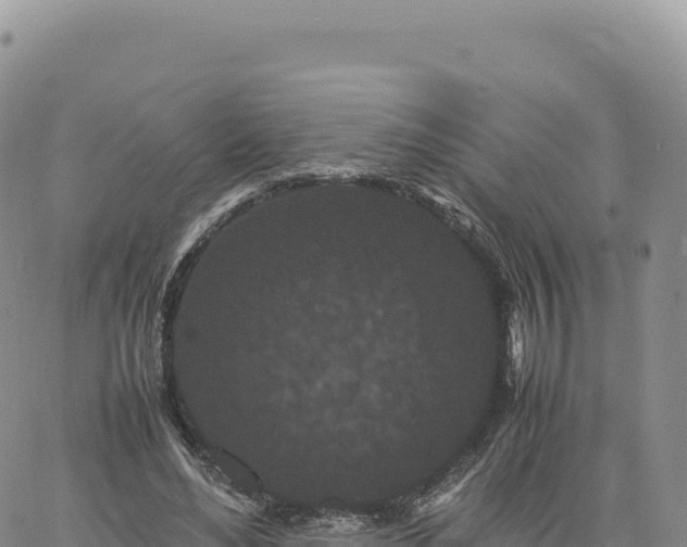 X0000061760492200512091705