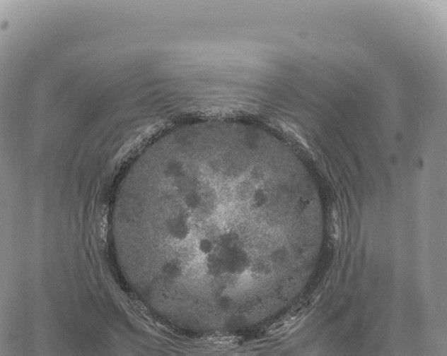 X0000061760495200512091705